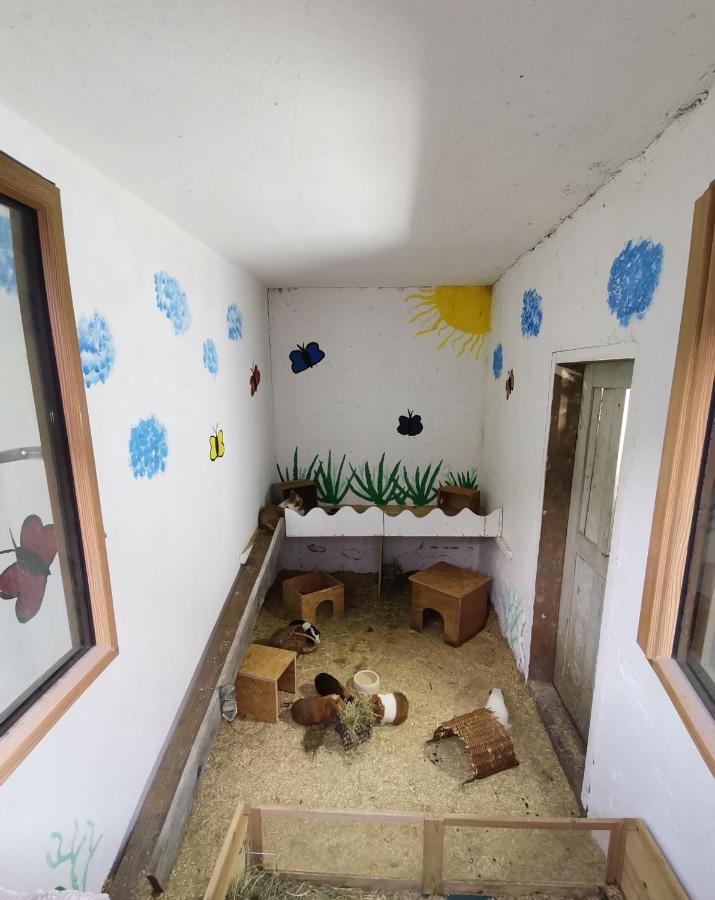 Apartamento Hartl Hof Breitenberg  Exterior foto
